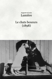 Les chats boxeurs (1898)