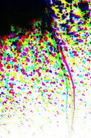 Xerox CMYK Color Separation Test