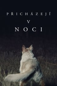 Přicházejí v noci (2017)