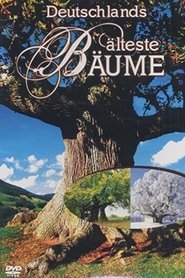 Deutschlands älteste Bäume