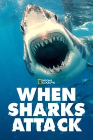 When Sharks Attack Season 5 Episode 6