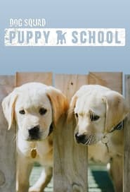 مشاهدة مسلسل Dog Squad Puppy School مترجم أون لاين بجودة عالية