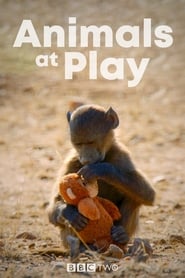 Poster Animals at Play - Miniseries 2019
