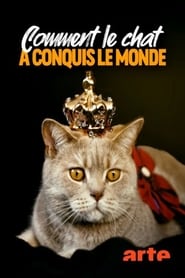 Comment le chat a conquis le monde streaming