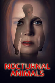 Poster Nocturnal Animals