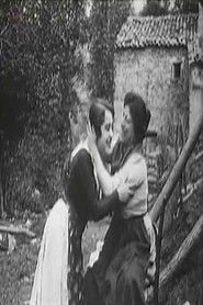 Mystery of Pain (1914)