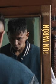 Un varón (2023) Cliver HD - Legal - ver Online & Descargar