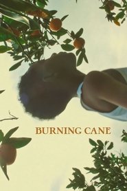 Poster Burning Cane