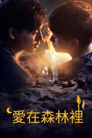 爱在森林里