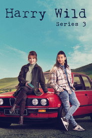 Harry Wild Series 3 5