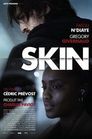 Poster Skin 2013