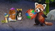 Help the Red Panda! / Help the Songbirds... Write a Song!