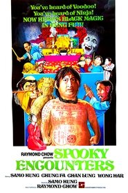 Encounter of the Spooky Kind (1980)