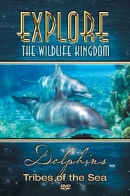 Poster Explore the Wildlife Kingdom: Dolphins - Tribes of the Sea