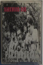 Shattered to Pieces (1999)