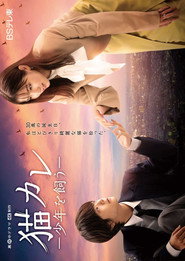 Taking in a Stray poster