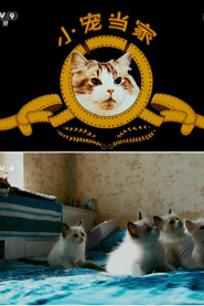 MongoDB.Entities.FuzzyString