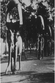 Poster Elephant March in Phnom Penh 1899
