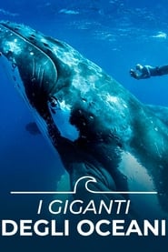 I giganti degli oceani