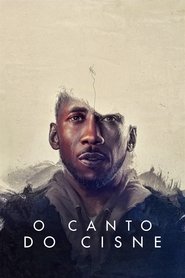 Assistir O Canto do Cisne Online HD