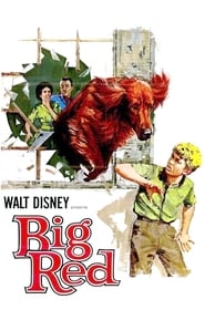 Big Red (1962)