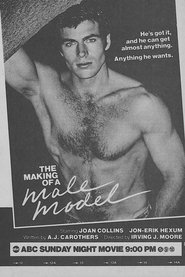 Poster Making of a Male Model 1983