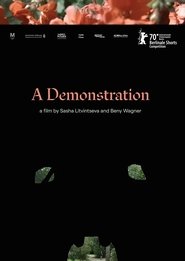Poster A Demonstration 2020