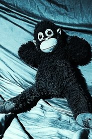 How to properly make a coursework in one day