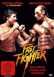 Poster Fist Fighter