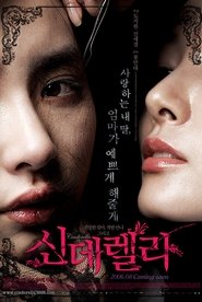 Poster 신데렐라