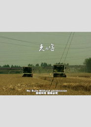 Wheat Passenger (2011)