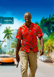 Ver infiltrado en miami (2018) Pelicula Completa En Español Online Gratis Repelis