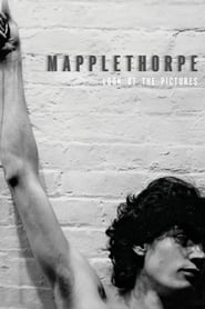 Mapplethorpe: Look at the Pictures постер