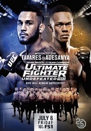Poster The Ultimate Fighter 27 Finale 2018
