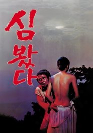 Poster Wild Ginseng 1979