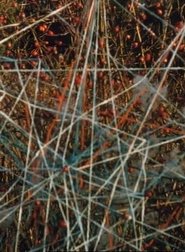 Poster Toying with Strings 1999