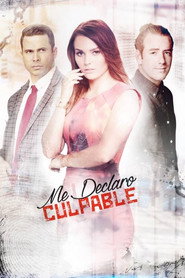 Me declaro culpable постер