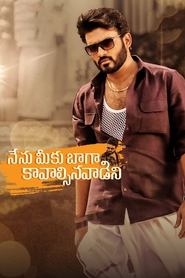 Nenu Meeku Baaga Kavalsinavaadini 2022 Telugu Full Movie Download | AHA WEB-DL 2160p 4K 1080p 720p 480p