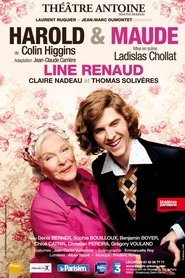 Poster Harold et Maude