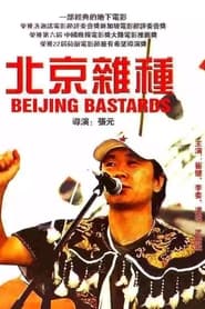 Poster 北京杂种