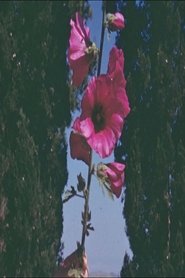 The Flowers Stand Silently, Witnessing 2024 Безплатен неограничен достъп