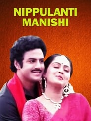 Poster Nippulanti Manishi 1986