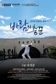 바람의 춤꾼) 바람의 춤꾼 (2017)