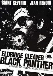 Eldridge Cleaver, Black Panther 1970