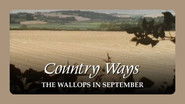 The Wallops in September