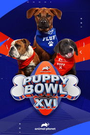 Puppy Bowl XVI