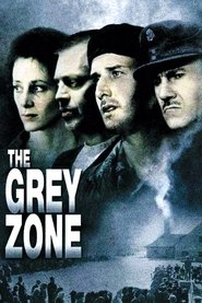 La zona gris poster