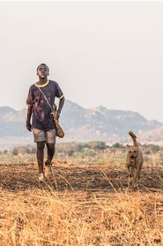 The Boy Who Harnessed the Wind