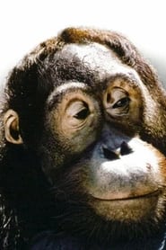 Manis as Orangutan (uncredited)