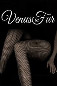 Venus in Fur poster
